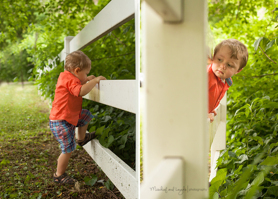 Family pictures with a busy toddler, Mischief and Laughs Photography, Cincinnati OH