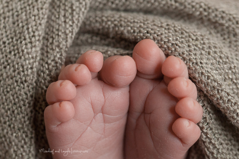 Newborn Macro, Cincinnati Baby Photographer