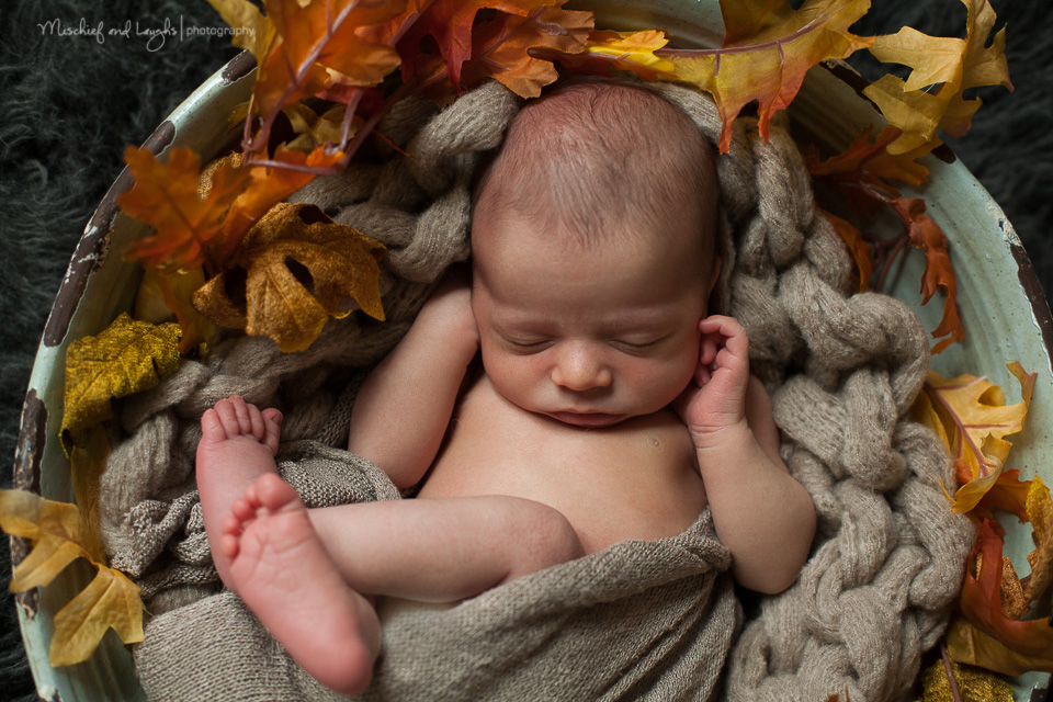 fall themed newborn pictures, Cincinnati Newborn Photographer