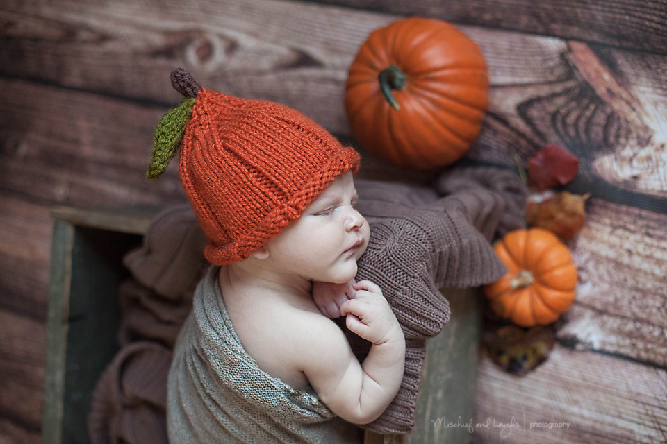 fall themed newborn pictures, Rochester newborn photographer, Mischief and Laughs Photography
