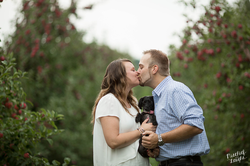 apple orchard engagement session, Sodus Point NY, Mischief and Laughs Photography