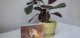 professional photography display ideas, newborn desk print with acrylic block