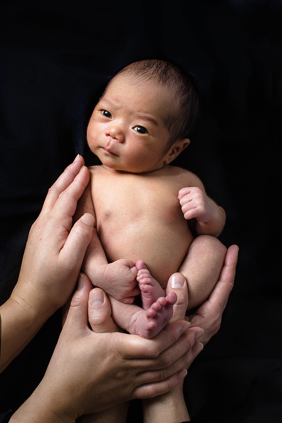 baby in parents hands newborn session cincinnati