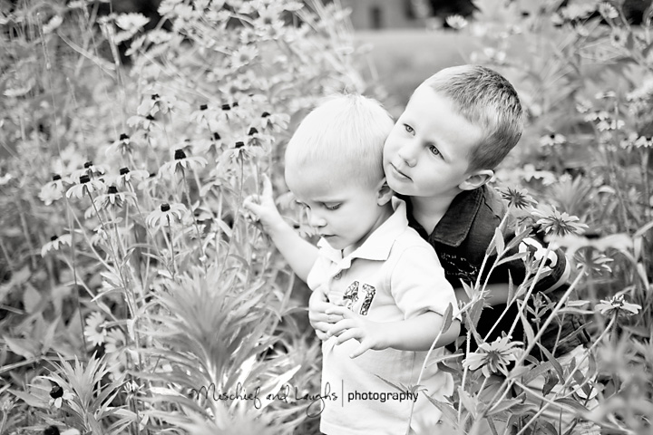 Brothers hugging in a field of Kentucky wildflowers at Boone Woods Park