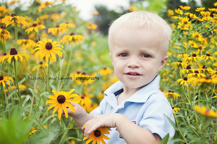 one year old portraits in a field of flowers
