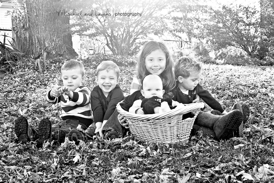 children play in the leaves during their family photo session
