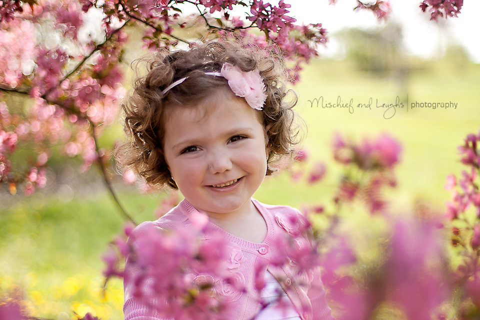 child portraits among the Cherry Blossoms, Cincinnati Child Photographer
