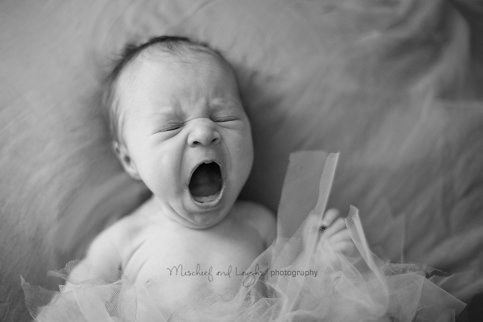 Northern Kentucky Newborn has a big yawn