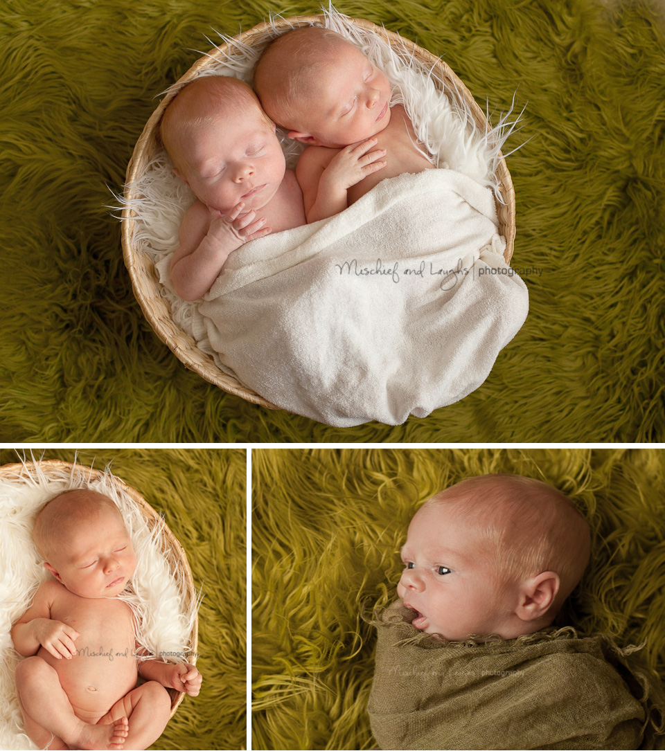 3 week old twin babies in a basket