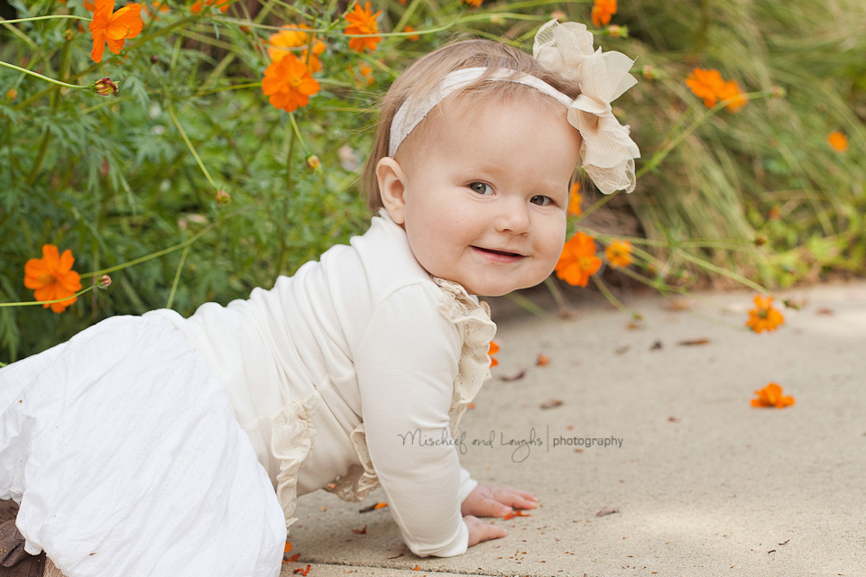 baby girl crawling near orange flowers