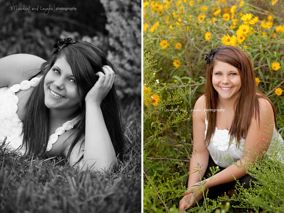 outdoor pictures in a field of wildflowers photography