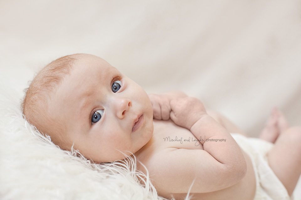 newborn baby 3 month old photography