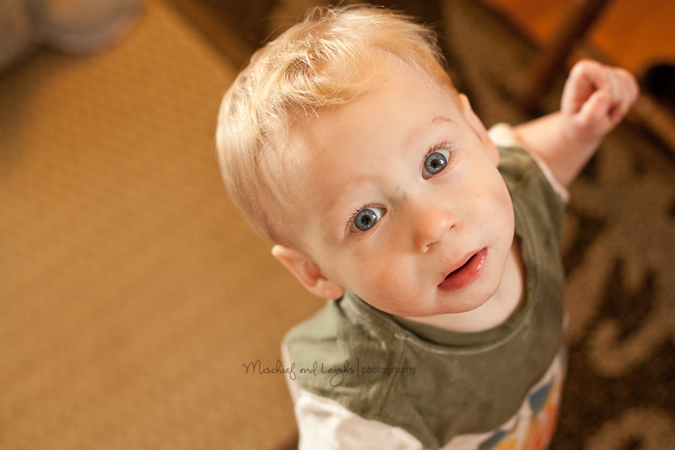 one year old baby boy photographer