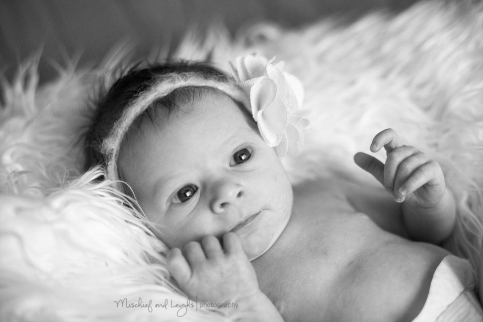 black and white newborn photographer