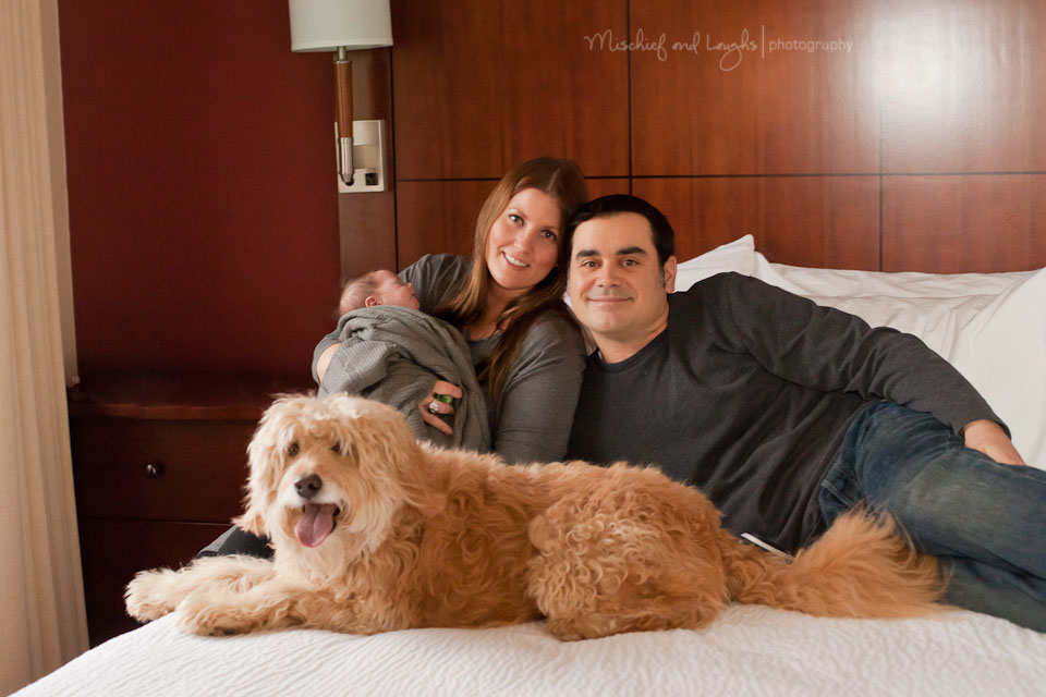 family with dog in their newborn pictures