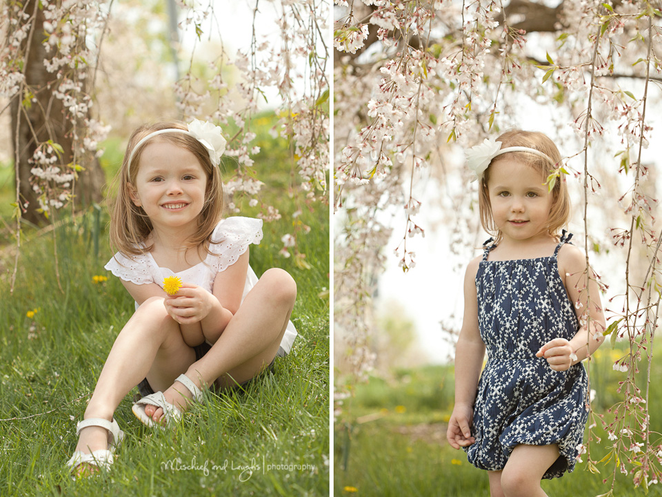 spring outdoor pictures