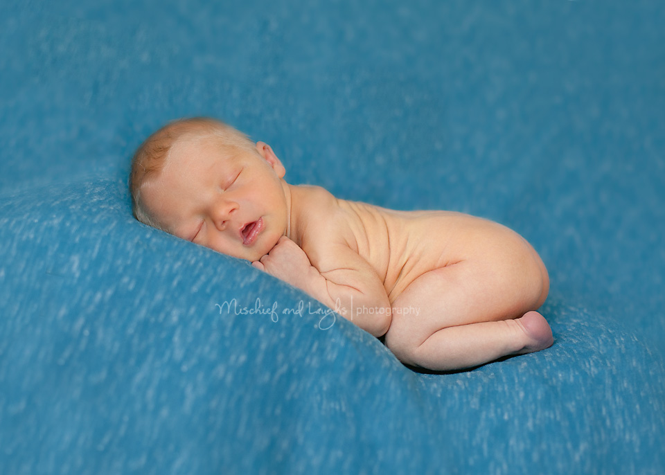 cincinnati newborn photographer