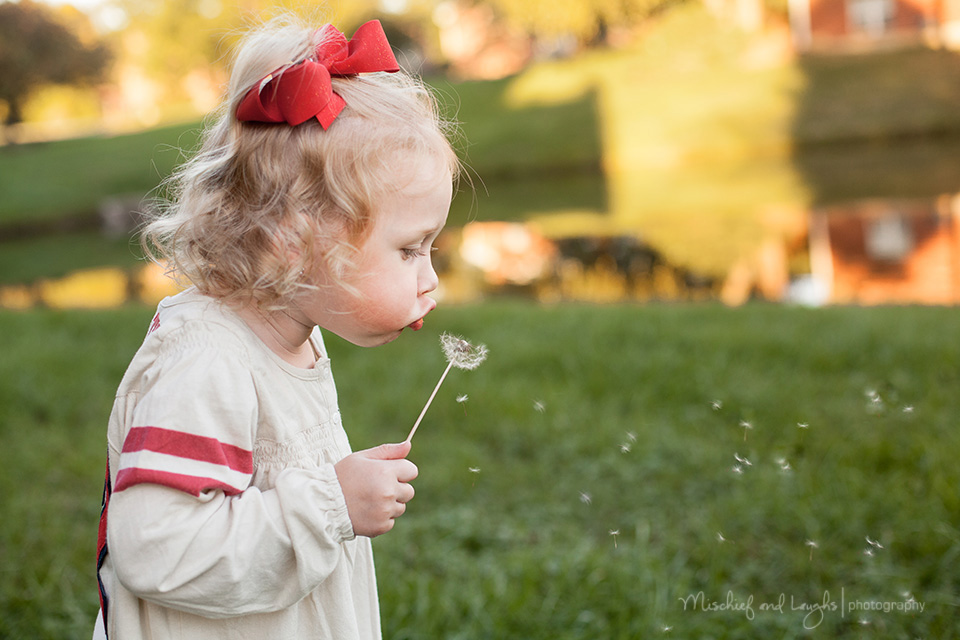 picture of a child blowing dandelions 