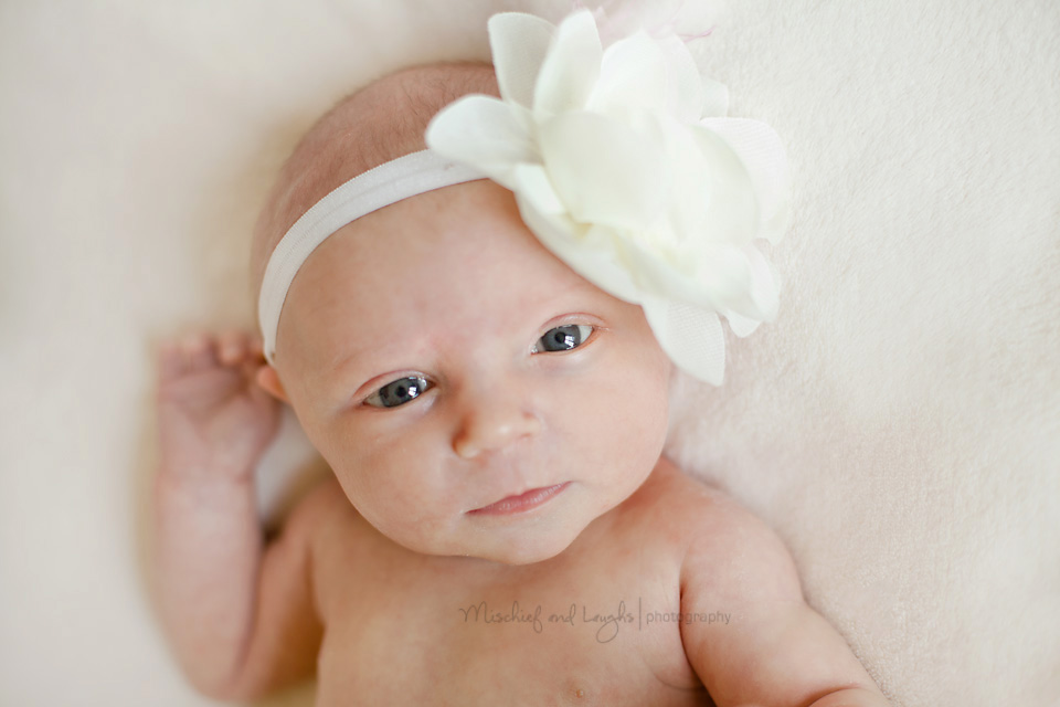 Cincinnati baby photographer