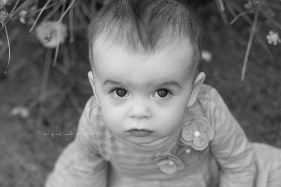 Cincinnati Baby Photographer - Mischief and Laughs photography