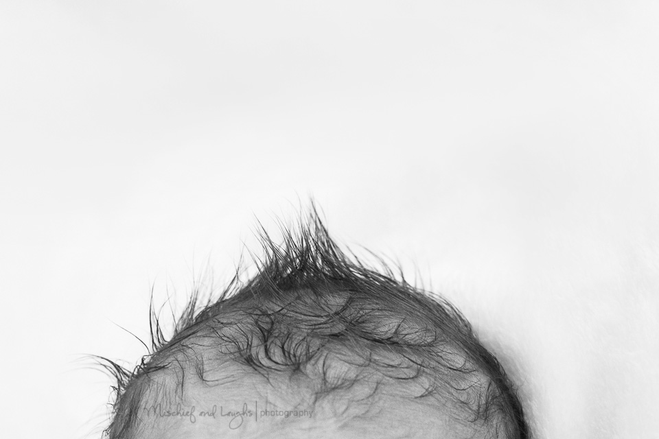 Newborn Hair Macro Detail, Mischief and Laughs Photography, Cincinnati