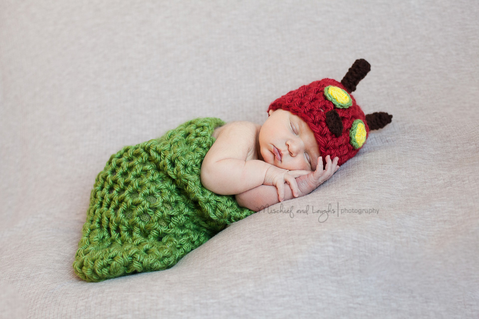 Very Hungry Caterpillar Newborn Pictures, Mischief and Laughs Photography, Cincinnati