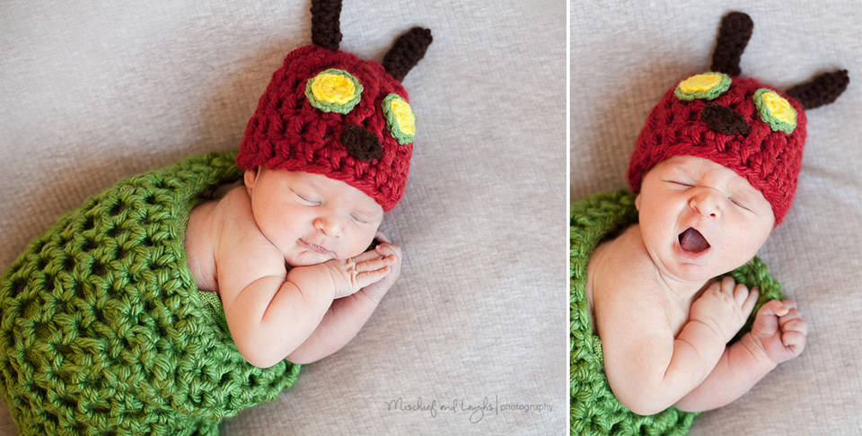 Very Hungry Caterpillar Newborn Pictures, Mischief and Laughs Photography, Cincinnati