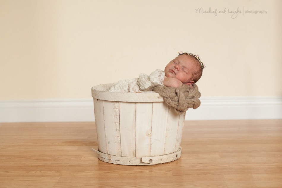 Newborn in basket, Mischief and Laughs, Cincinnati OH