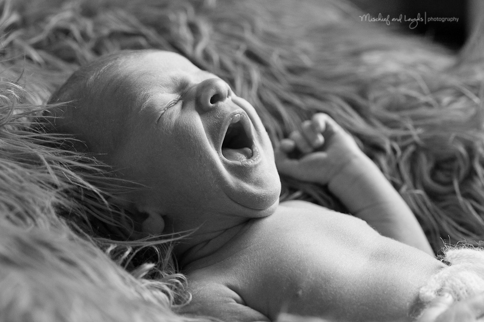 Newborn Baby Yawning, Cincinnati Newborn Photographer, Mischief and Laughs Photography 