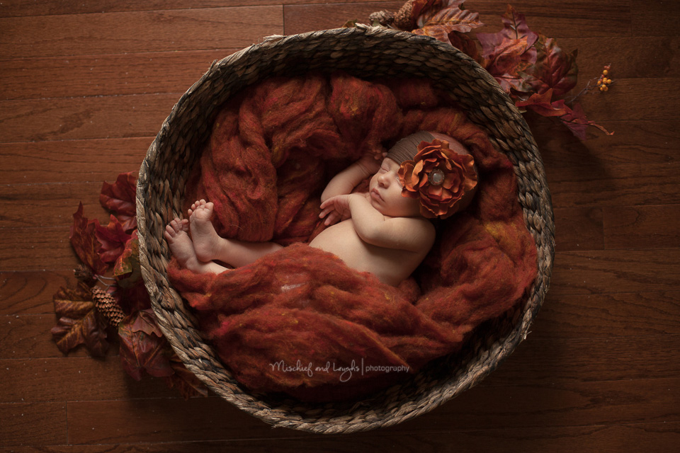 Fall inspired Newborn Pictures, Cincinnati newborn photos, Mischief and Laughs