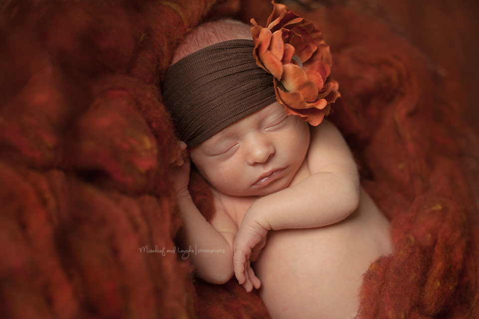 Fall inspired Newborn Pictures, Cincinnati newborn photos, Mischief and Laughs