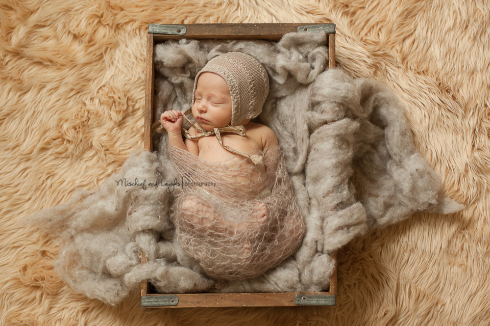 Sleeping newborn in a box, Cincinnati newborn photos, Mischief and Laughs