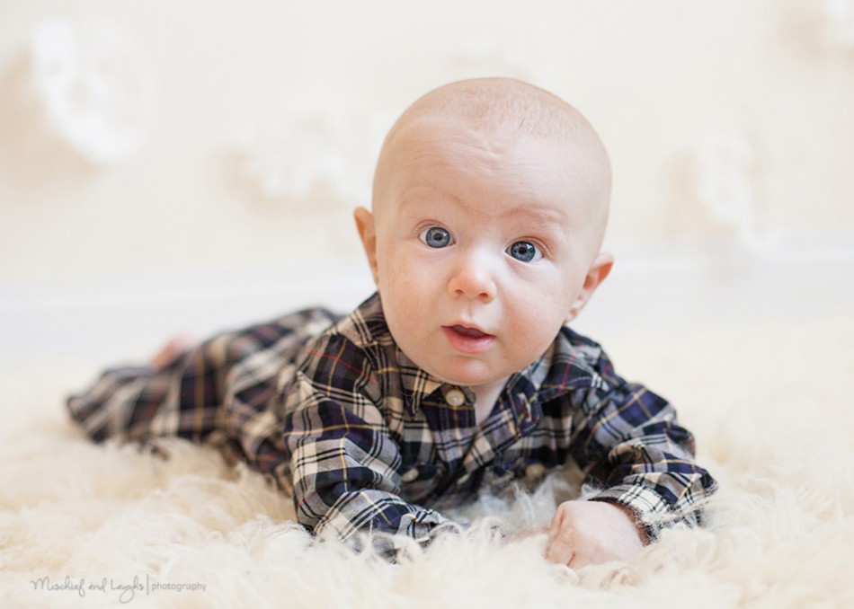Christmas Mini Sessions, Cincinnati OH, Mischief and Laughs Photography
