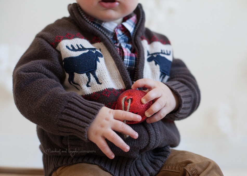 Christmas Mini Sessions, Cincinnati OH, Mischief and Laughs Photography