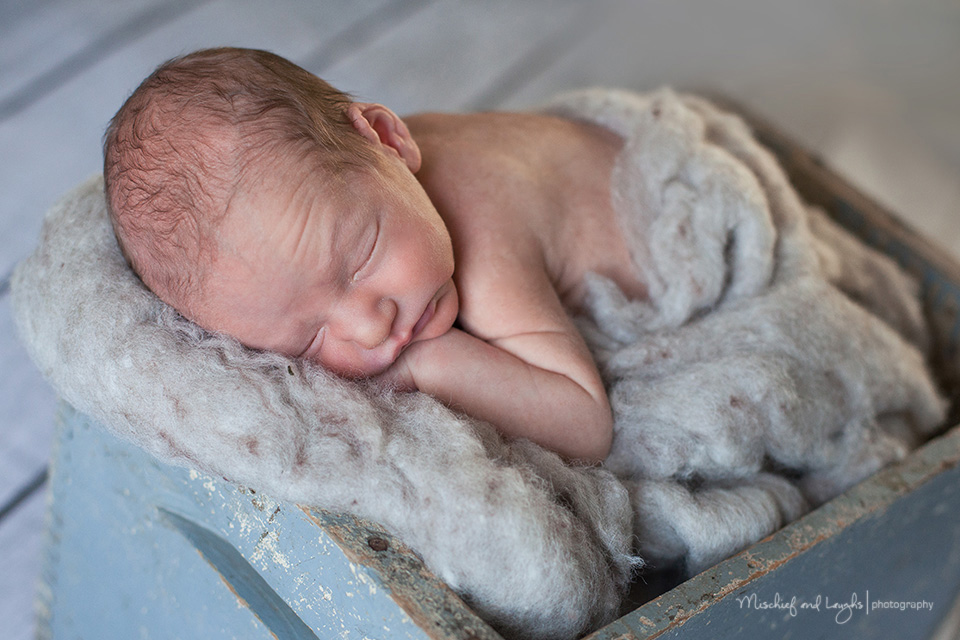 Cincinnati Newborn Baby Photography