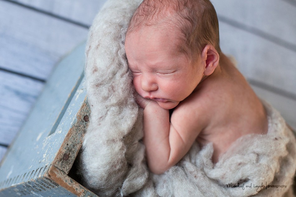 Cincinnati Newborn Baby Photography
