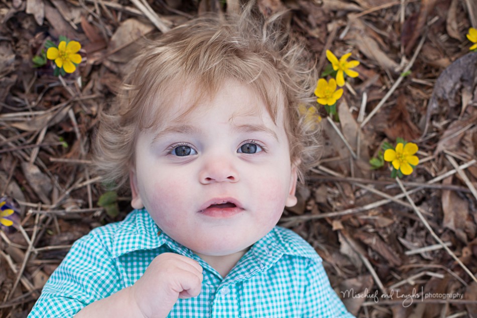 First Birthday Photos Outdoors, Cincinnati Family Photographer, Mischief and Laughs