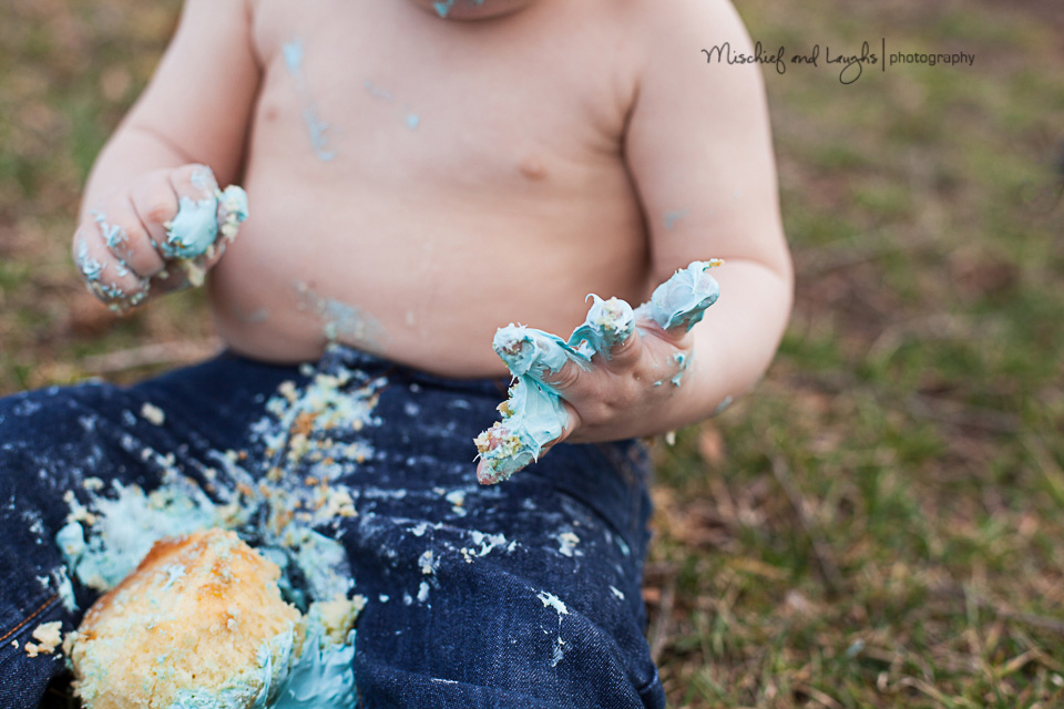 First birthday Photos Outdoors, Cincinnati Family Photographer, Mischief and Laughs