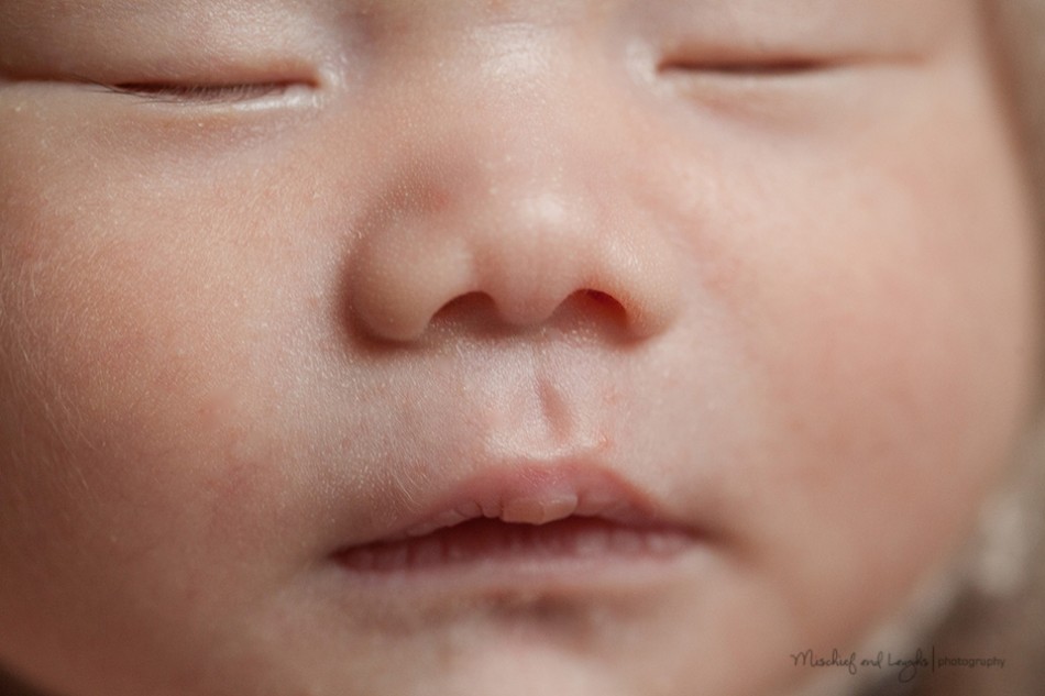 Newborn Photos at Home, Northern Kentucky Newborn Photographer