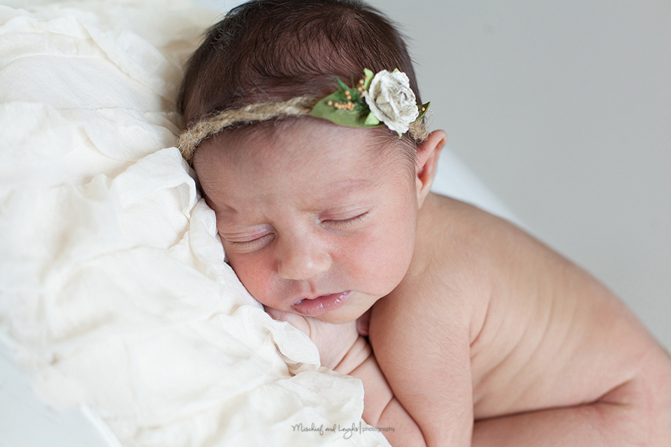 Newborn Photographer, Cincinnati OH