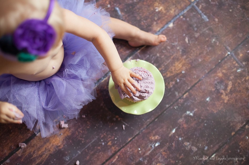 First birthday cake smash photos, Purple polka dots, Rochester baby photographer
