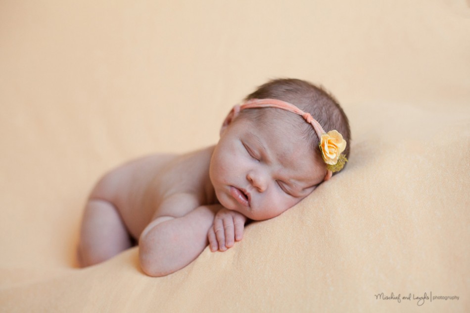 finger lakes area newborn photographer, western new york newborn pictures