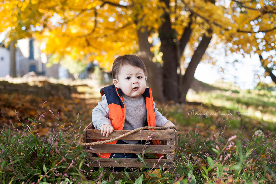 Fall baby pictures, Mischief and Laughs Photography, Rochester NY