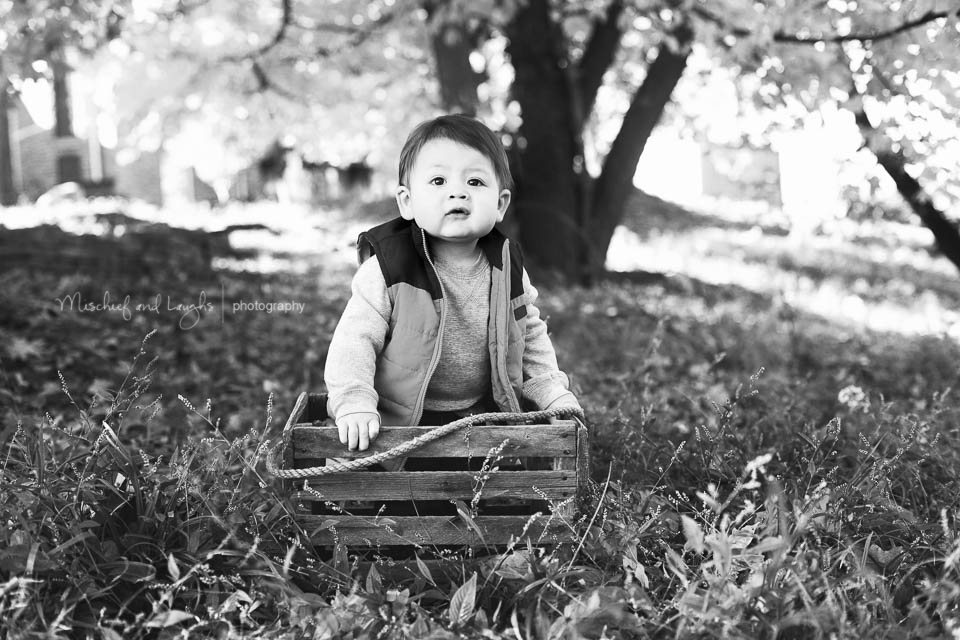 Fall baby pictures, Mischief and Laughs Photography, Rochester NY