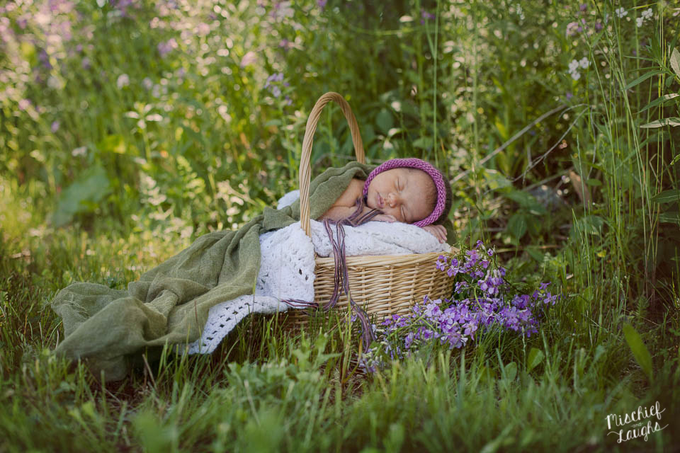 Outdoor newborn photos, Finger Lakes Newborn Photographer