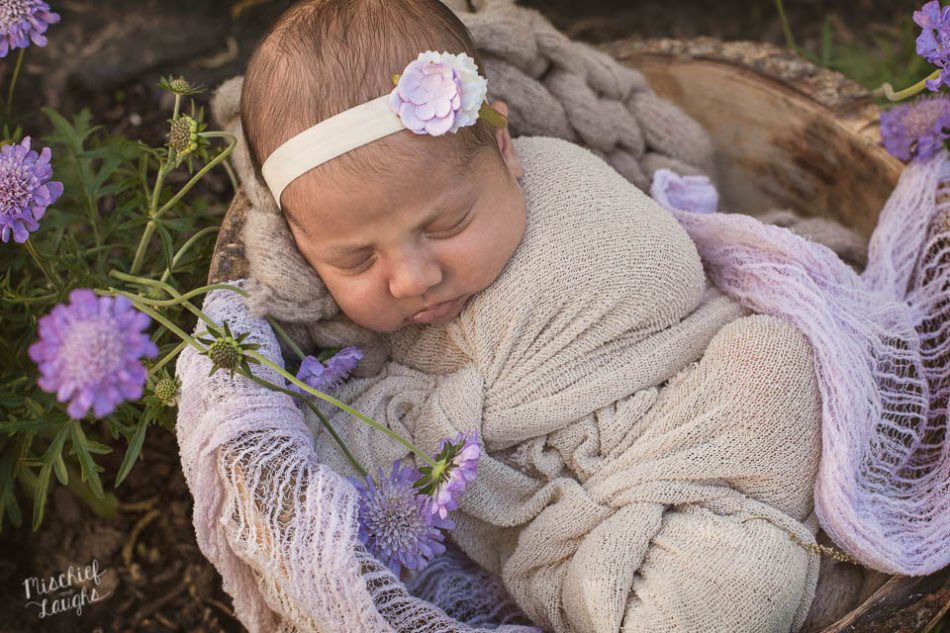 Outdoor newborn photos, Finger Lakes Newborn Photographer