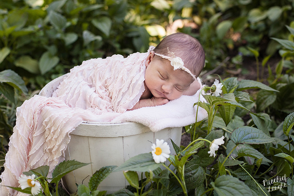Outdoor newborn photos, Finger Lakes Newborn Photographer
