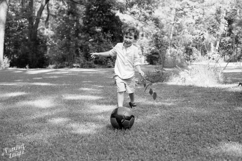 Extended Family at home, Finger Lakes Family Photographer, Mischief and Laughs