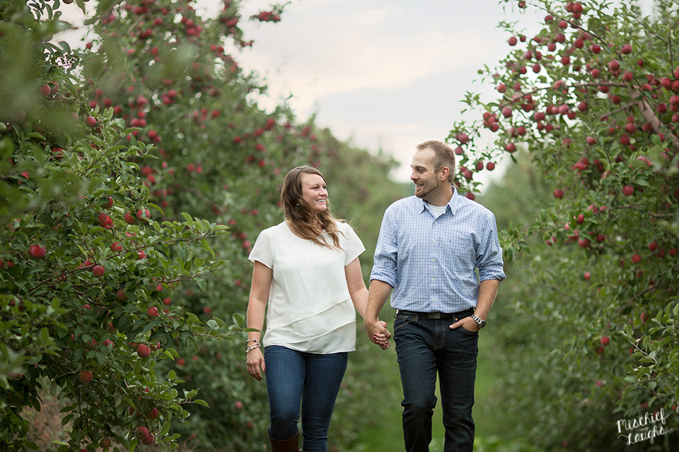 apple orchard engagement session, Sodus Point NY wedding photographer, Mischief and Laughs Photography