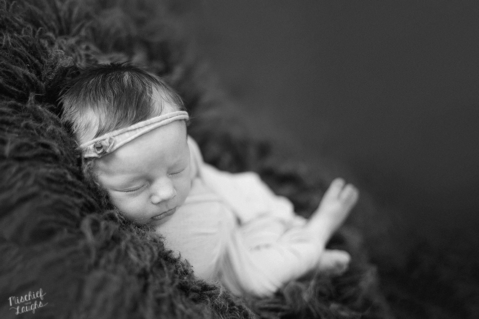 Studio Newborn Session, Rochester Newborn Photographer, Mischief and Laughs Photography